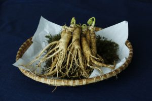Ginseng Herbs For Fatty Liver Treatment